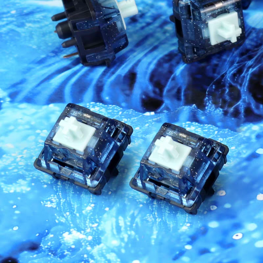 BSUN Ocean switch (10PCS)