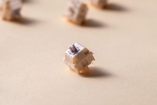 HMX Silent Taro switch (10PCS)