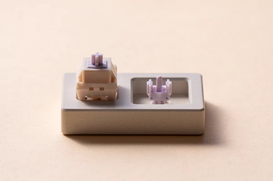 HMX Silent Taro switch (10PCS)