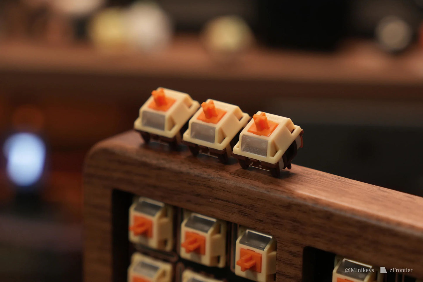 HMX Puppy switch (10PCS)