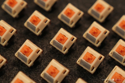 HMX Puppy switch (10PCS)