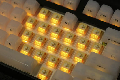 HMX Toast switch (10PCS)