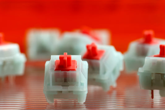 HMX Coral Sea switch (10PCS)