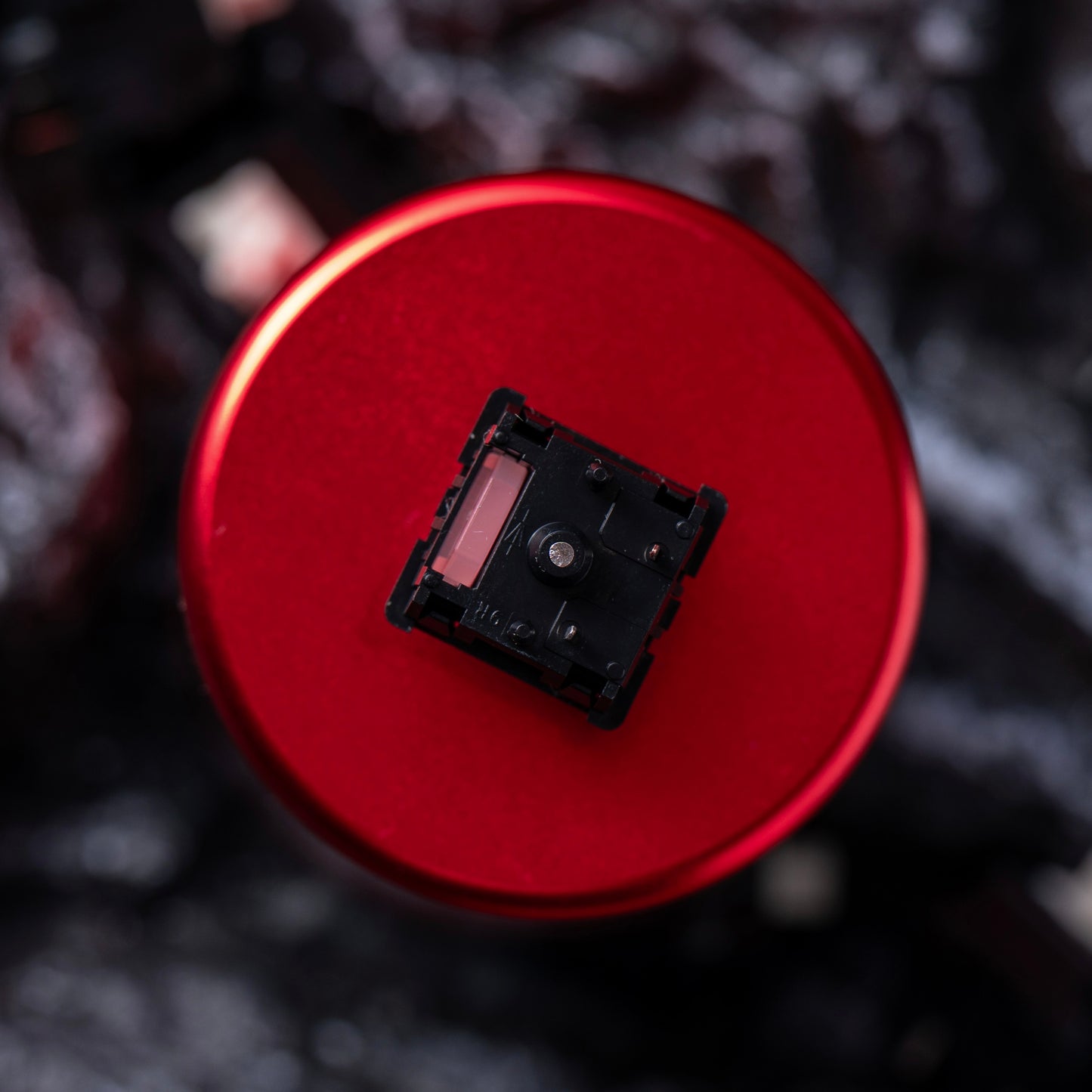 Xllab x Haimu Rock switch (10PCS)