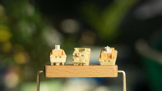 HMX Egg Yolk linear switch (10PCS)