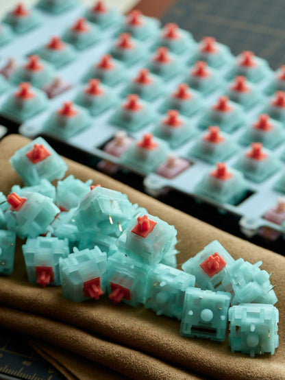 HMX Coral Sea switch (10PCS)